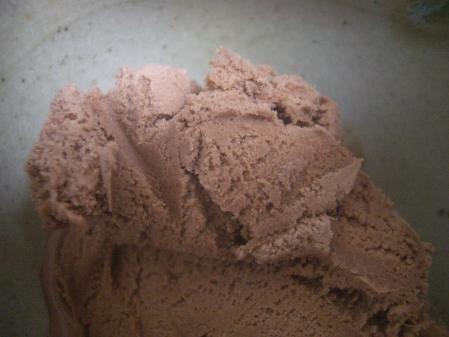 塩麹のチョコレートアイスクリーム