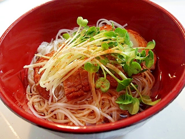 さつま揚げとかいわれ大根のお素麺