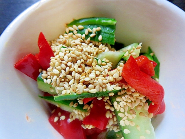 胡瓜と赤ピーマンのサラダ