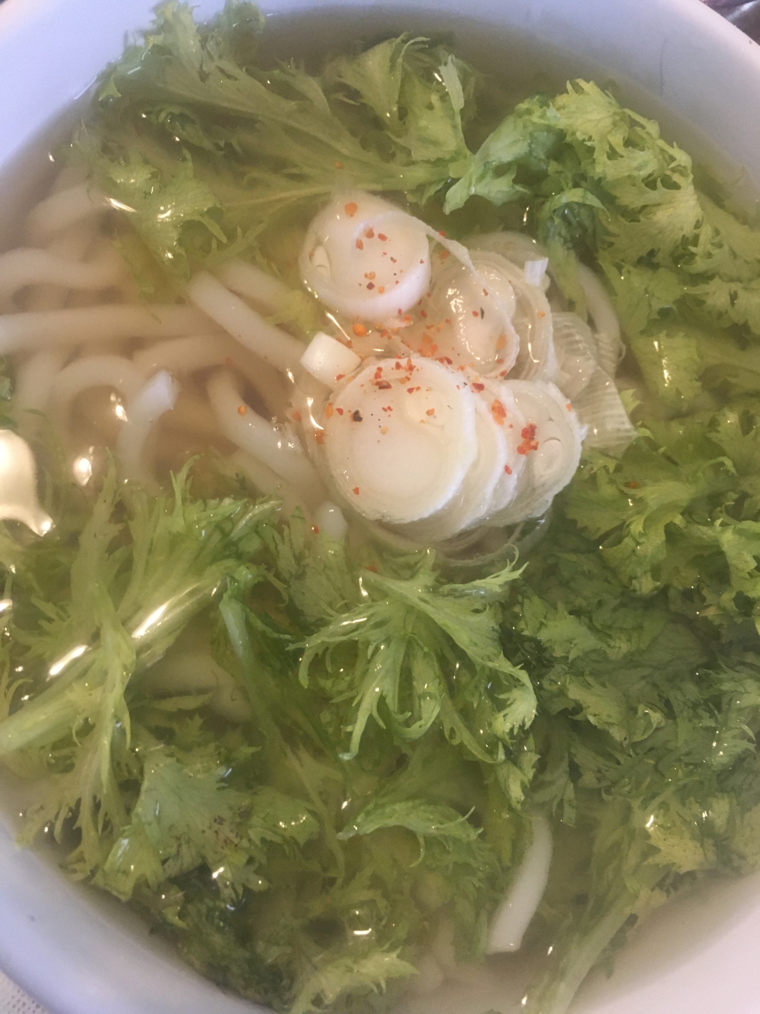 わさび菜、ねぎのかけうどん