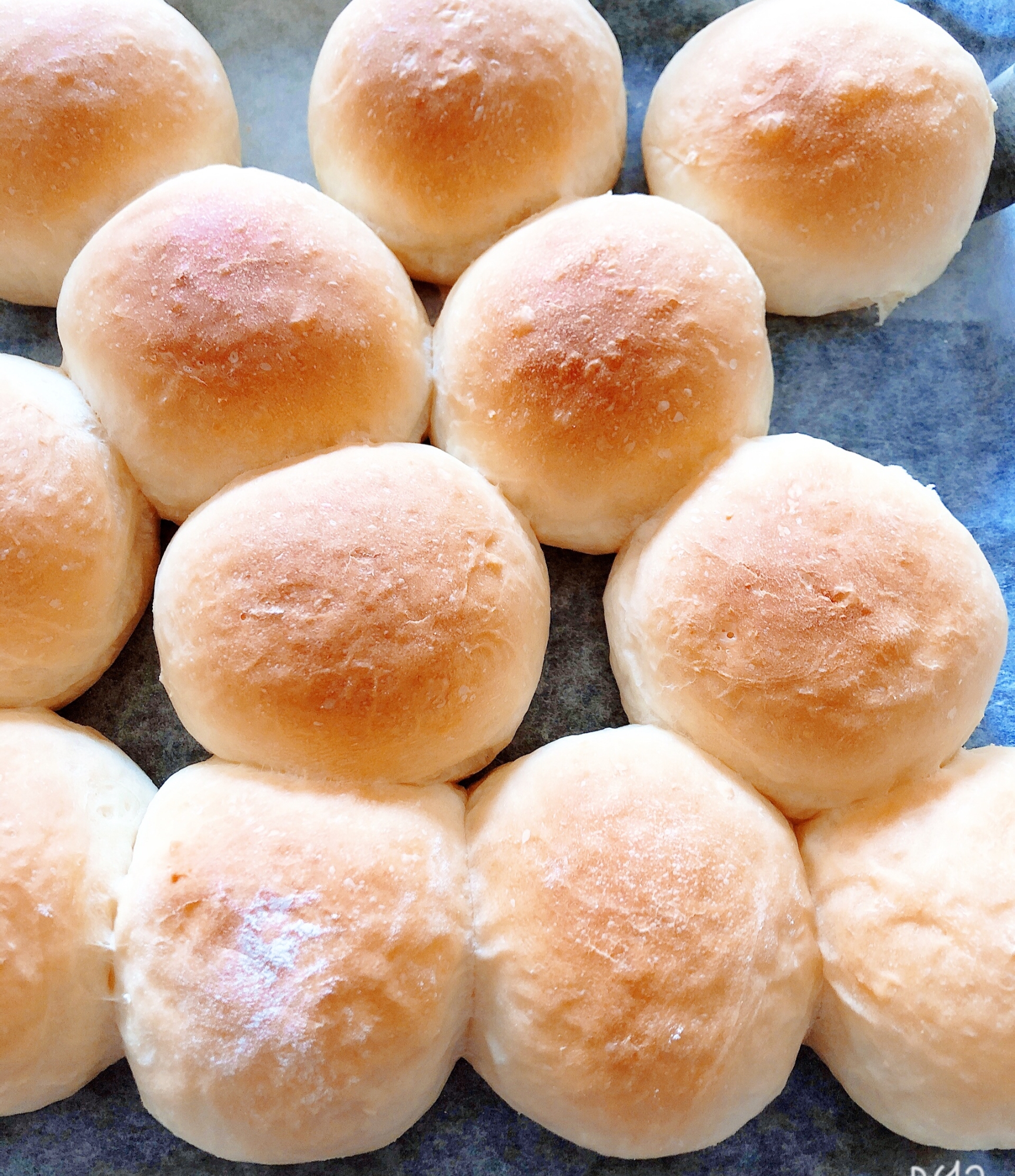 ふわふわちぎりパン レシピ 作り方 By てちねる 楽天レシピ ふわふわちぎりパン レシピ 作り方 By てちねる 楽天レシピ