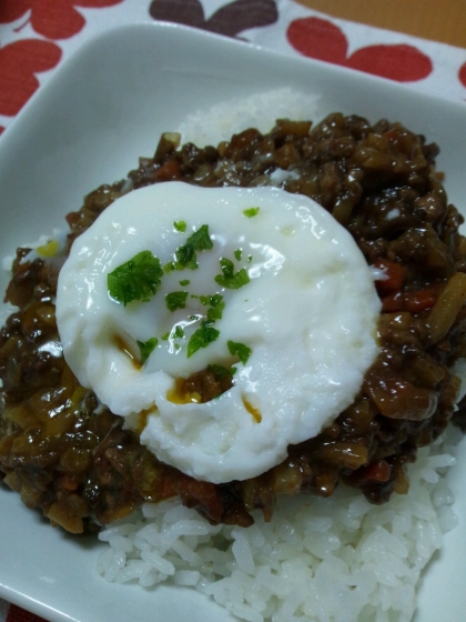 野菜室一掃ドライカレー