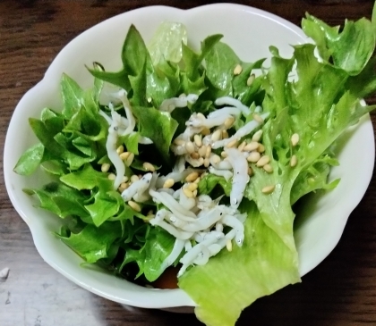 しらすとレタスのサラダ