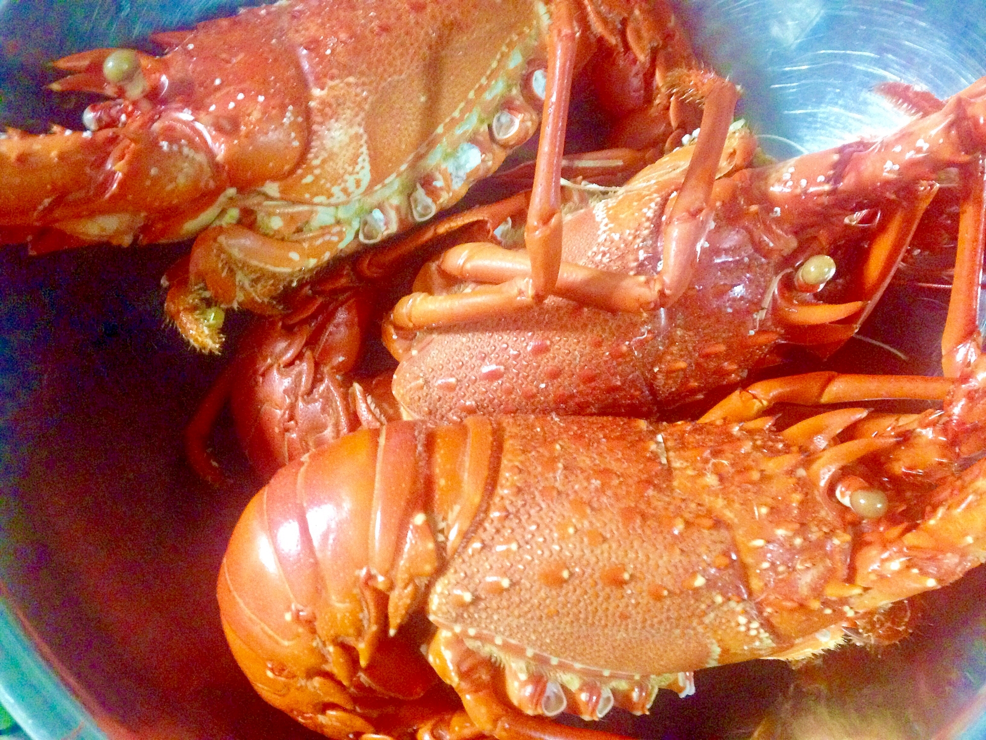 伊勢海老の塩茹で さばき方も レシピ 作り方 By Balletmom 楽天レシピ 伊勢海老の塩茹で さばき方も レシピ 作り方 By Balletmom 楽天レシピ