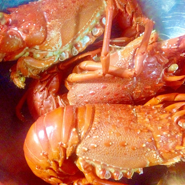 伊勢海老の塩茹で さばき方も レシピ 作り方 By Balletmom 楽天レシピ 伊勢海老の塩茹で さばき方も レシピ 作り方 By Balletmom 楽天レシピ