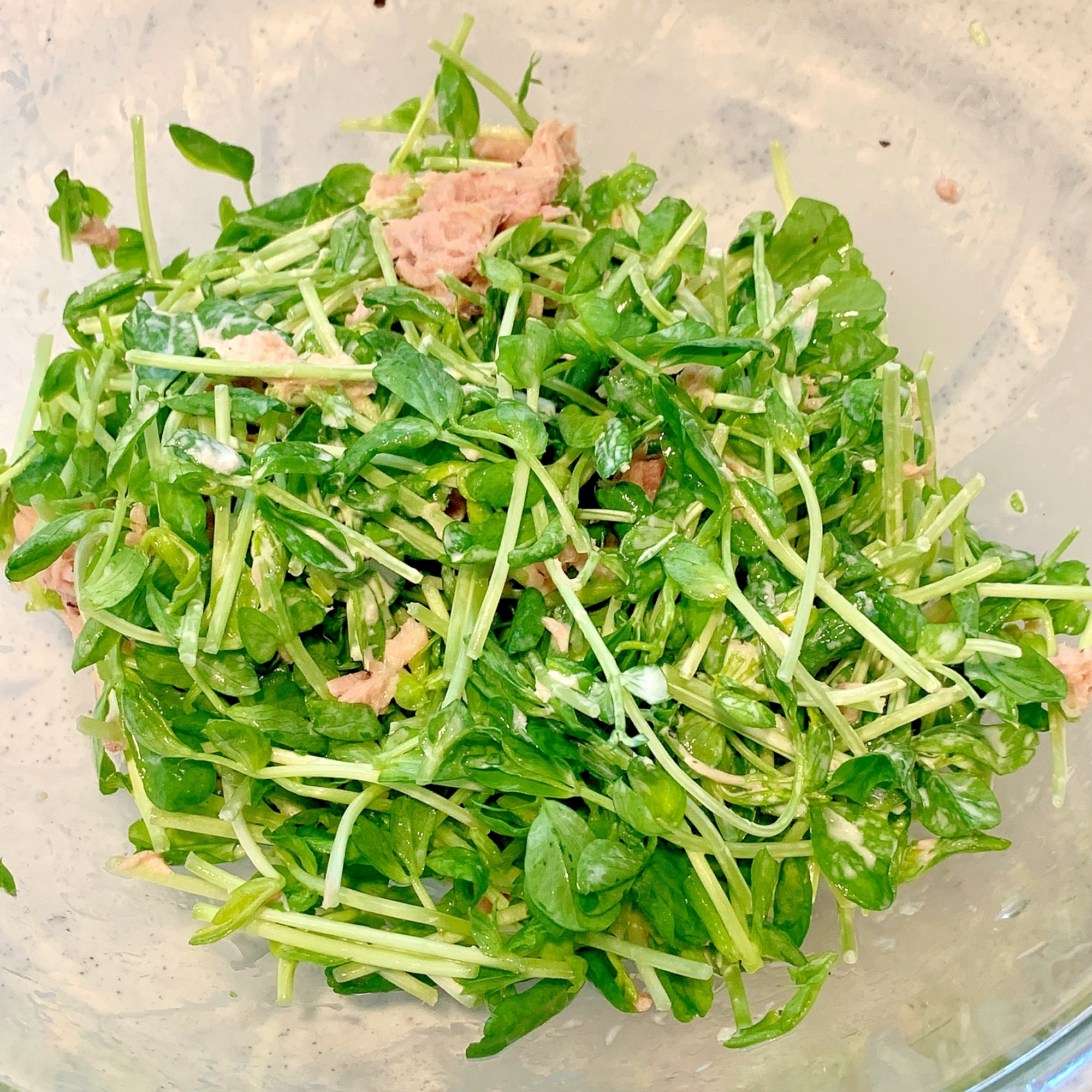 【常備菜】子どもに人気!豆苗ツナマヨサラダ【時短】