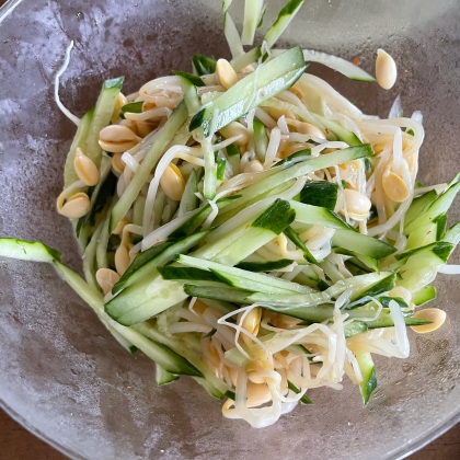 おつまみにも♪胡瓜と味付け大豆もやしの和え物