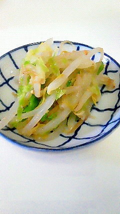 レンチ～ン♪袋でもんで、冷やして♪　もやしキャベツ