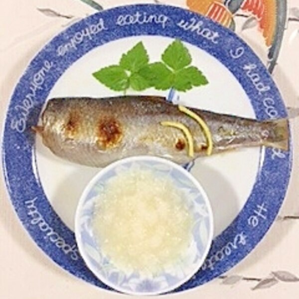 Bohvlzelj6kaem Bohvlzelj6kaem