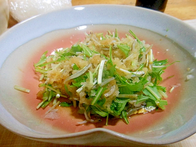 箸休めに～水菜・ちりめんじゃこの大根おろし和え