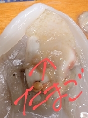 アオリイカ たまごの煮付け レシピ 作り方 By Yoshi Original 楽天レシピ アオリイカ たまごの煮付け レシピ 作り方 By Yoshi Original 楽天レシピ