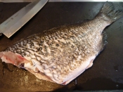 黒鯛 チヌ の湯引き レシピ 作り方 By まめもにお 楽天レシピ 黒鯛 チヌ の湯引き レシピ 作り方 By まめもにお 楽天レシピ