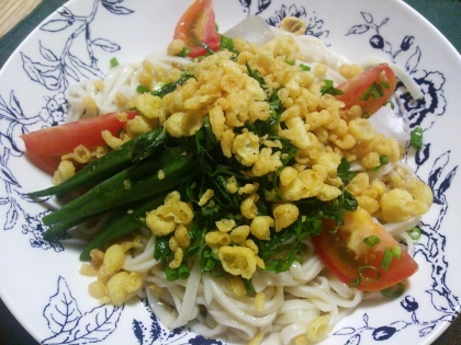 ☆夏にピッタリ♪　サラダうどん☆