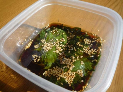 紫蘇にんにく醤油♪