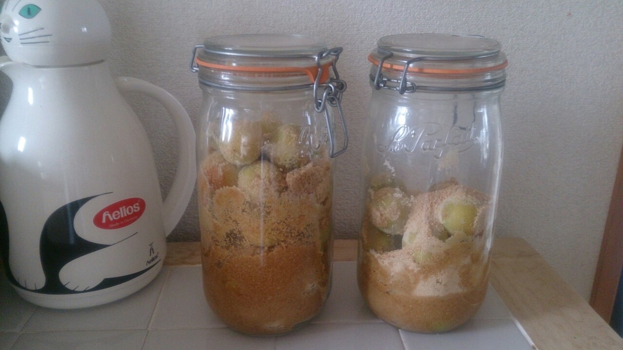 甜菜糖で 体に優しい梅シロップ レシピ 作り方 By かえこうちゃん 楽天レシピ 甜菜糖で 体に優しい梅シロップ レシピ 作り方 By かえこうちゃん 楽天レシピ