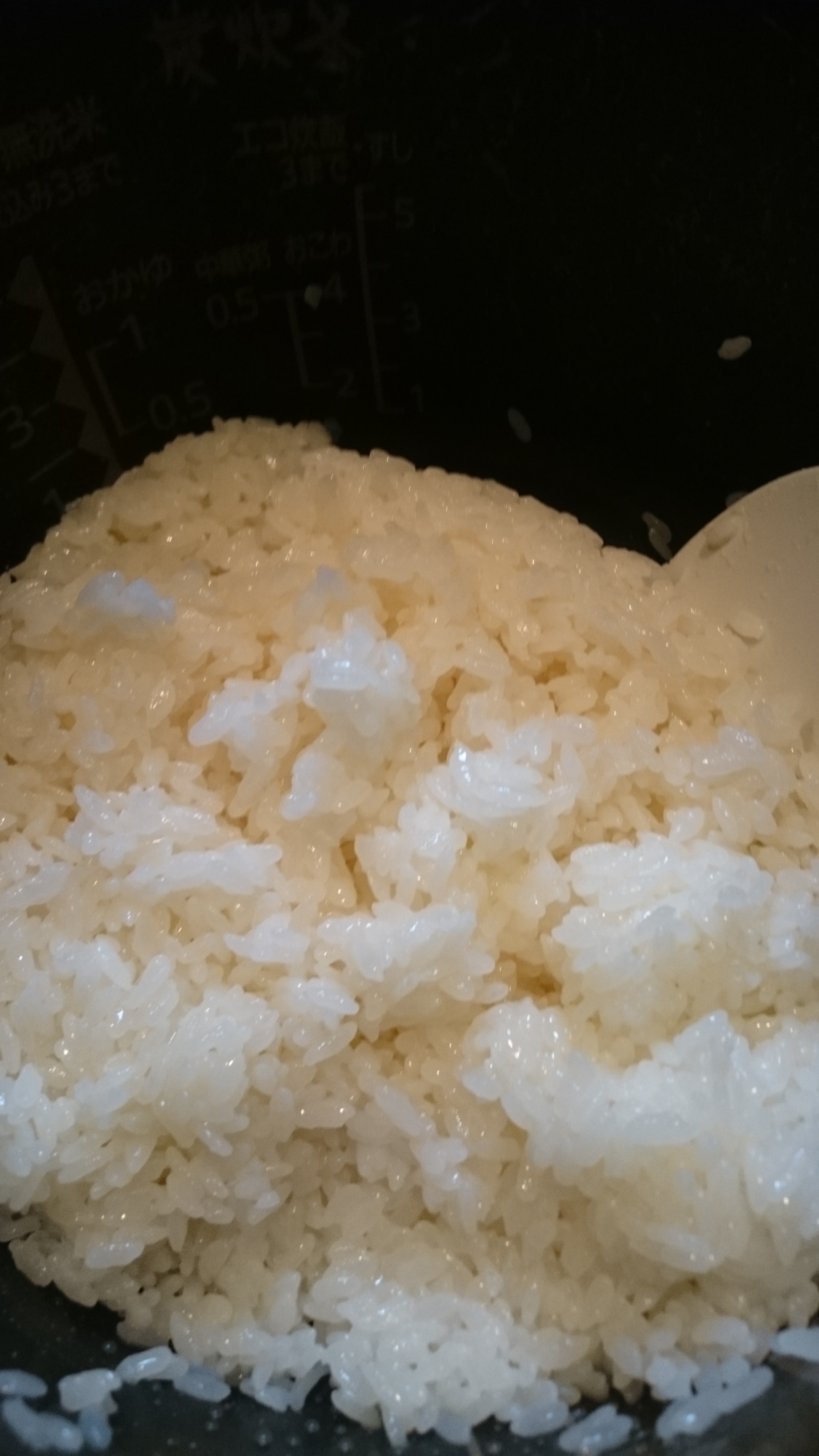 すし酢 黄金 比 必見 お寿司屋さん秘伝の シャリ酢の黄金比 Makizushi倶楽部 すし酢 黄金 比 必見 お寿司屋さん秘伝の シャリ酢の黄金比 Makizushi倶楽部