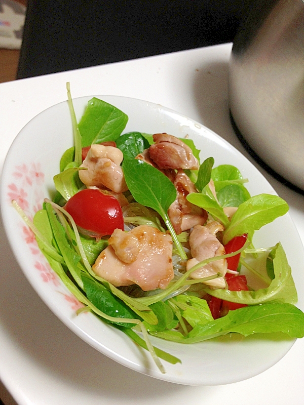 ベビーリーフと鶏肉の春雨サラダ