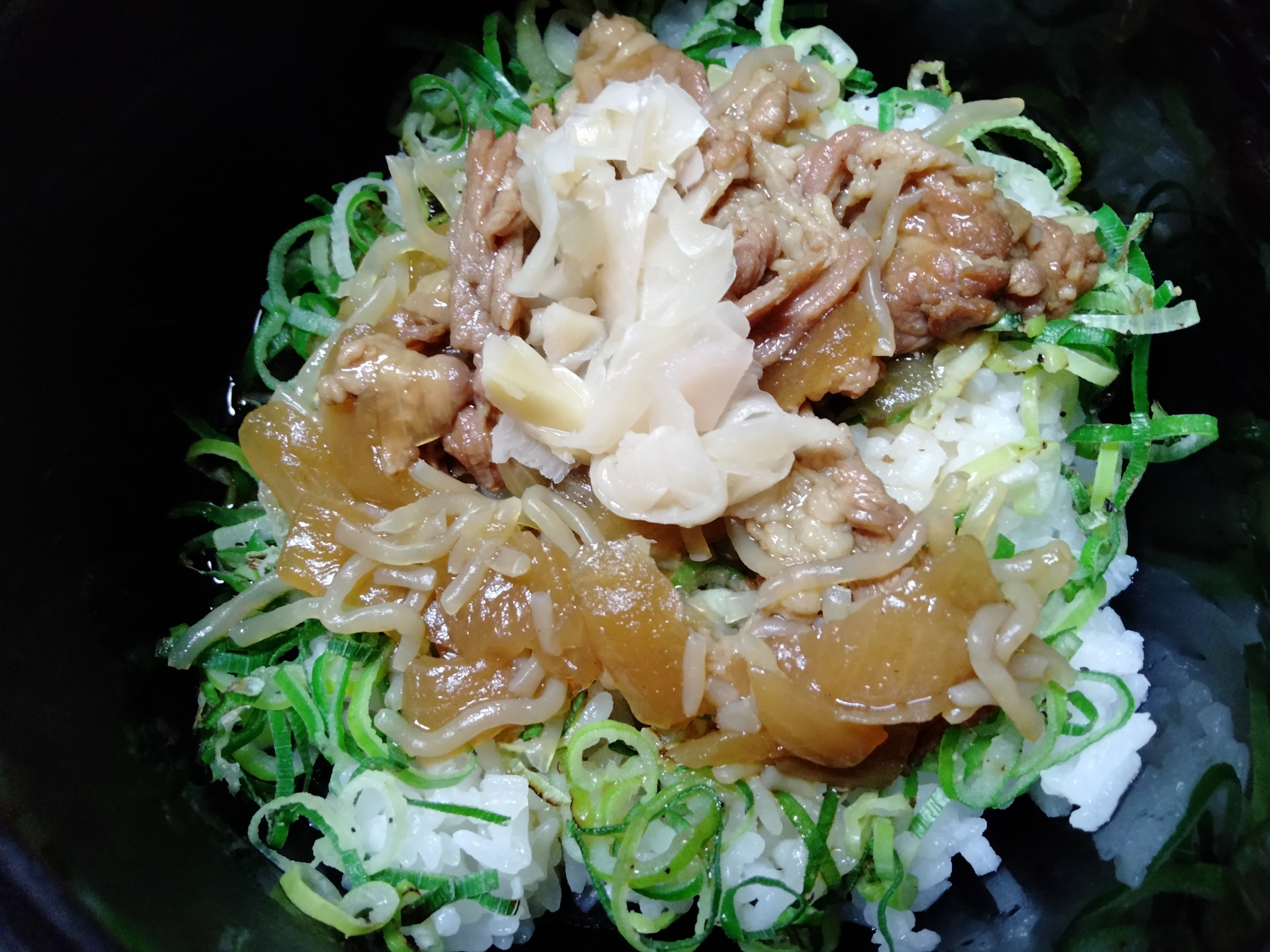 ビリッとネギ乗せレトルト牛丼