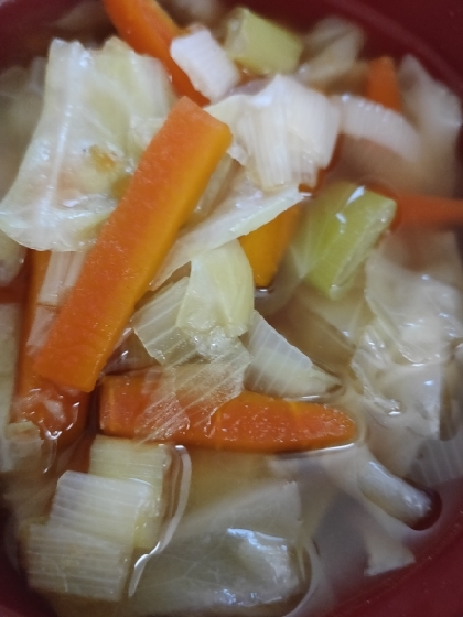 キャベツ・人参・ネギの中華スープ