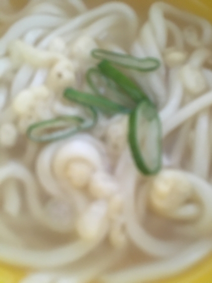 たっぷり　天かすうどん