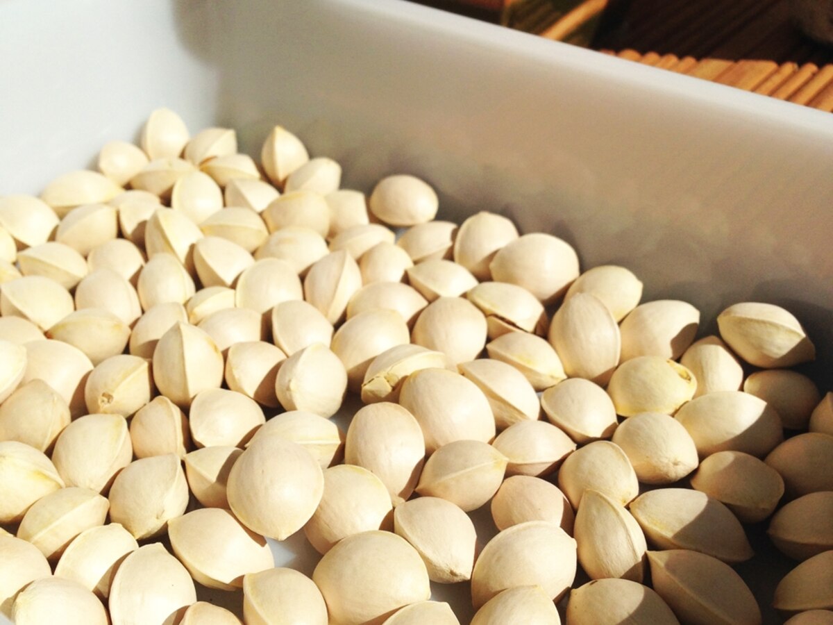 マンションでも出来る 匂いが少ない銀杏の下処理 レシピ 作り方 By Colokitchen 楽天レシピ マンションでも出来る 匂いが少ない銀杏の下処理 レシピ 作り方 By Colokitchen 楽天レシピ