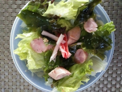 ウインナーと生野菜サラダ