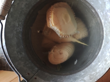 春の贈り物！タケノコの茹で方（アク抜き）