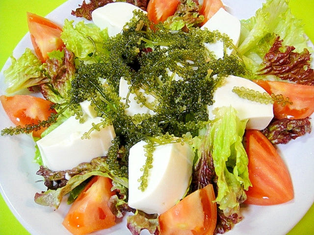 海ぶどうと豆腐のサラダ レシピ 作り方 By Mint74 楽天レシピ 海ぶどうと豆腐のサラダ レシピ 作り方 By Mint74 楽天レシピ