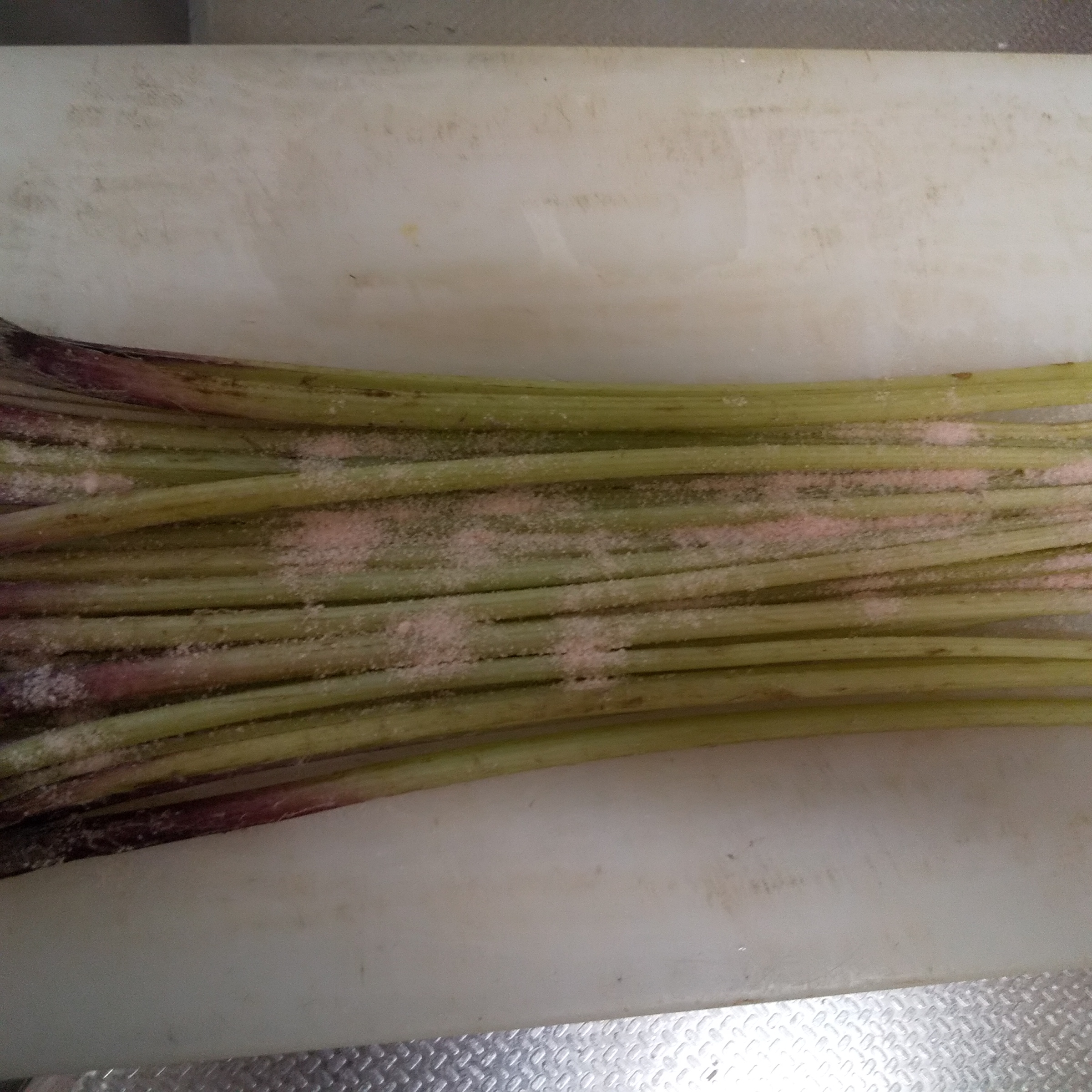 ふきの冷凍保存 レシピ 作り方 By Mimi2385 楽天レシピ ふきの冷凍保存 レシピ 作り方 By Mimi2385 楽天レシピ