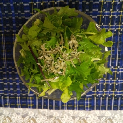 あと一品に！わさび菜のサラダ