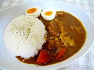 お肉いっぱいカレー☆