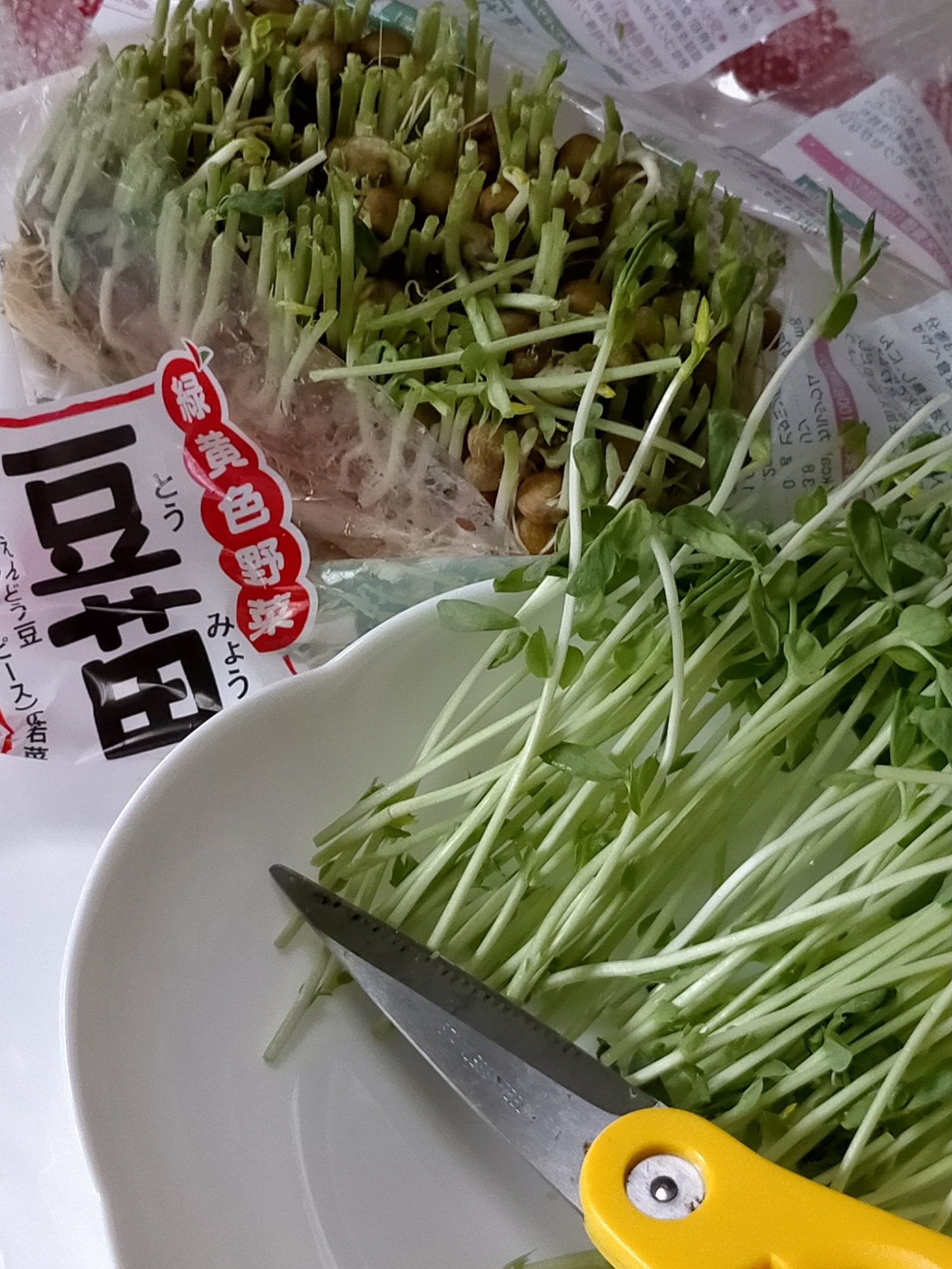 豆苗を使ったあと水栽培 で育てられますよ レシピ 作り方 By こってぃさん 楽天レシピ 豆苗を使ったあと水栽培 で育てられますよ レシピ 作り方 By こってぃさん 楽天レシピ