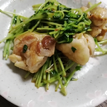 ごはんがすすむ！豆苗と鶏肉炒め