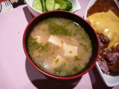 あおさ海苔は磯の香りがして、美味しいね♪
今、ぷぅちゃんの散歩から帰ってきたの☆
風邪気味だけど、せかされると可哀想だから公園に行ってきたよ♥今日は暖かいね〜♪