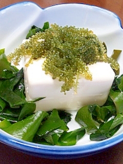 海ぶどうを乗せた しょうが味豆腐のやっこ レシピ 作り方 By Tnmsam 楽天レシピ