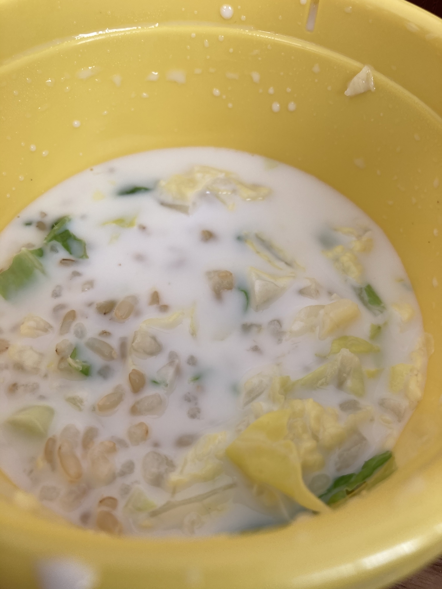 白菜と玄米ご飯のミルク粥