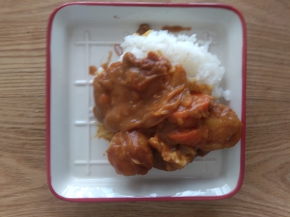 キャンプに☆カレー