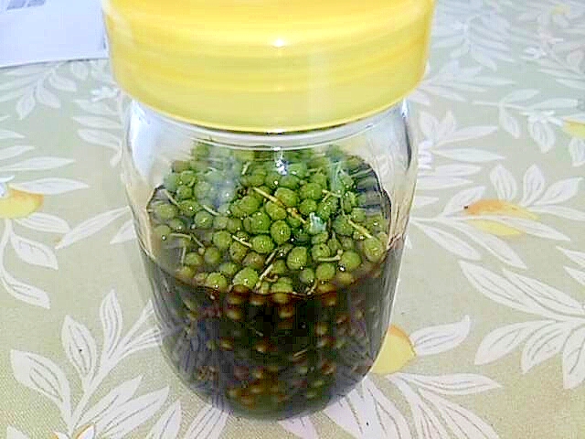 あく抜き不要 実山椒醤油と活用法 レシピ 作り方 By O 楽天レシピ あく抜き不要 実山椒醤油と活用法 レシピ 作り方 By O 楽天レシピ