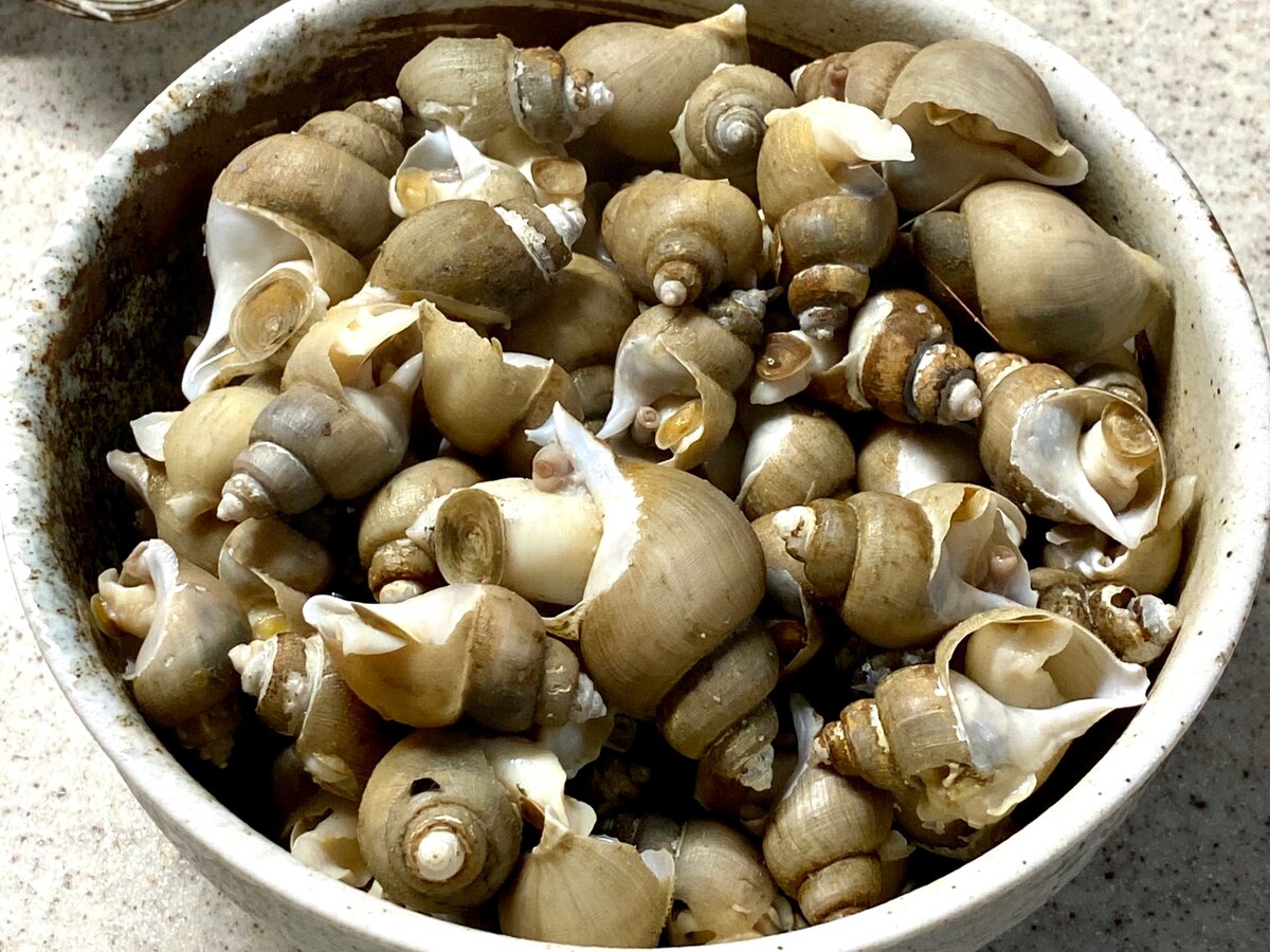 小つぶ貝の酒蒸し レシピ 作り方 By ゆみたろう 目指せ細マッチョ 楽天レシピ 小つぶ貝の酒蒸し レシピ 作り方 By ゆみたろう 目指せ細マッチョ 楽天レシピ