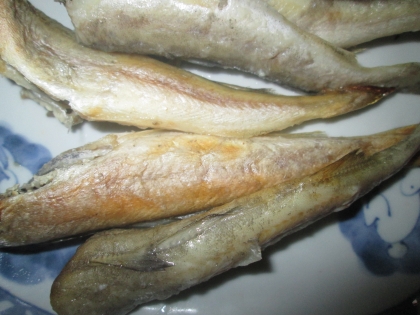 おつまみにバッチリ 丸干しこまいのグリル焼き レシピ 作り方 By 2727椿 楽天レシピ おつまみにバッチリ 丸干しこまいのグリル焼き レシピ 作り方 By 2727椿 楽天レシピ