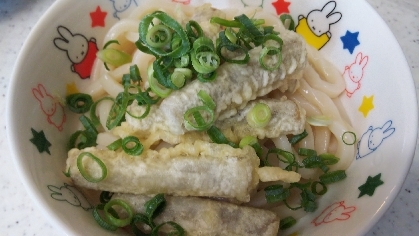 冷やしごぼう天うどん