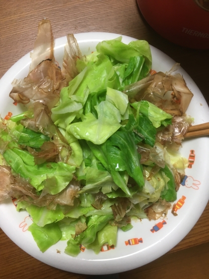 千切りキャベツに飽きていたところで、美味しいかったです。