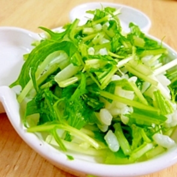 犬用 しゃきしゃき水菜ご飯 レシピ 作り方 By Jp S ビートル 楽天レシピ 犬用 しゃきしゃき水菜ご飯 レシピ 作り方 By Jp S ビートル 楽天レシピ