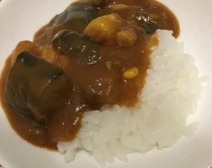 ズッキーニ入り！野菜カレー