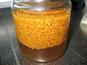 粒々マスタード レシピ 作り方 By Koyoca 楽天レシピ 粒々マスタード レシピ 作り方 By Koyoca 楽天レシピ