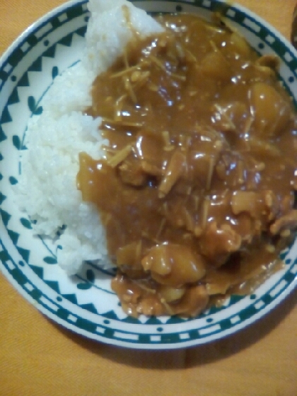 とろける野菜とたっぷり豚肉のカレーライス