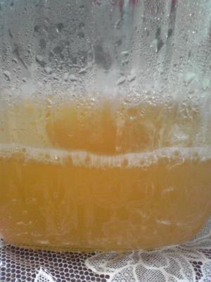 赤ちゃんにも果汁100 りんごジュース レシピ 作り方 By カナシュンばーば 楽天レシピ 赤ちゃんにも果汁100 りんごジュース レシピ 作り方 By カナシュンばーば 楽天レシピ