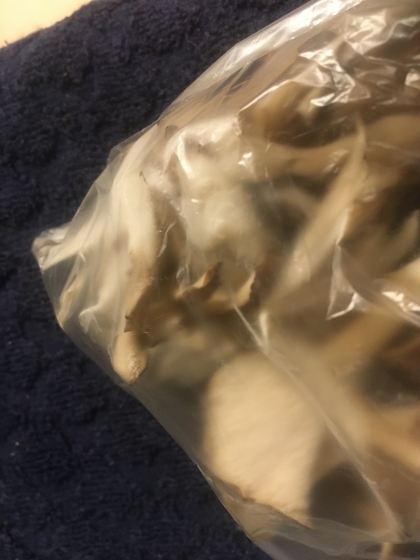 椎茸の冷凍保存（1ヶ月間保存)