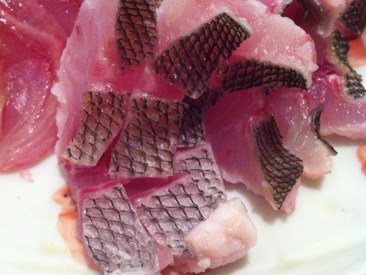 イサキの湯引き レシピ 作り方 By Macman3737 楽天レシピ イサキの湯引き レシピ 作り方 By Macman3737 楽天レシピ