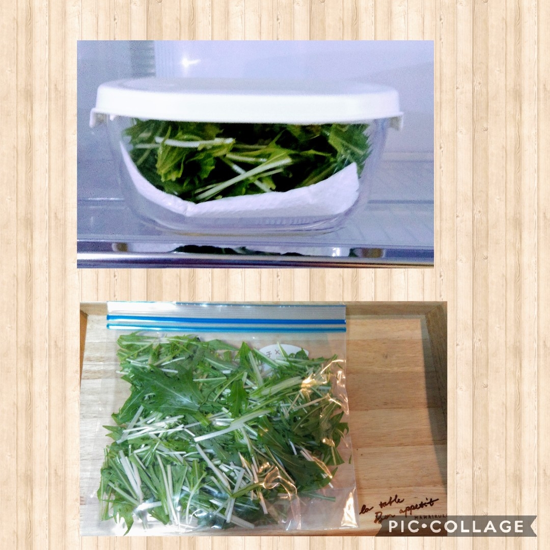 水菜の保存方法 冷蔵 冷凍 レシピ 作り方 By Konotan1108 楽天レシピ